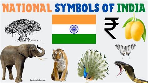 National Symbols of India : Names, List, Pictures, Importance | UPSC Notes - IAS Bio