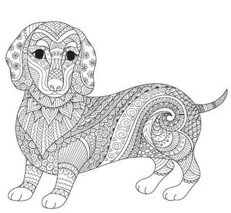 Animal Coloring Pages: 75 Animals Adult Coloring Book 75 - Etsy