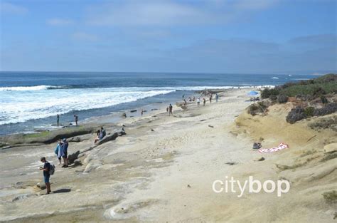 10 VERY BEST Things to Do in La Jolla - Beaches, Restaurants, PHOTOS!