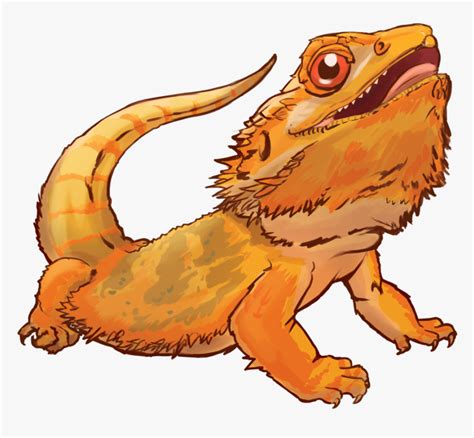 Bearded Dragon Orange Cartoon, HD Png Download - kindpng