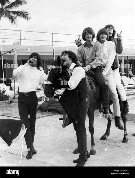 Gene clark byrds hi-res stock photography and images - Alamy