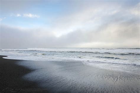 Gold Bluffs Beach California - Alan Majchrowicz Photography