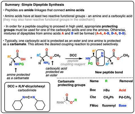 Amino Acid Condensation Reaction Mechanism