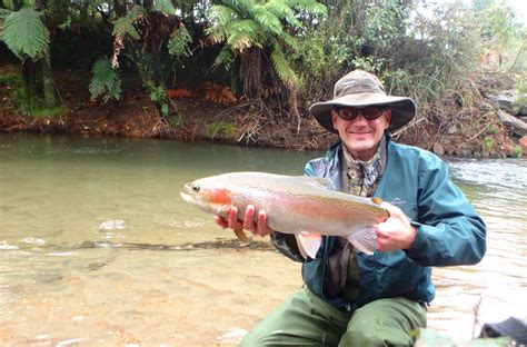 'Last chance' to grab fine weather boat fishing - Fish & Game