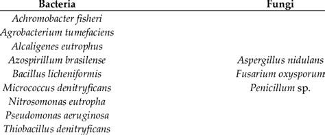 Examples of microorganisms performing denitrification [70]. | Download ...