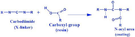 Carbodiimide cross linking mechanism [12] | Download Scientific Diagram