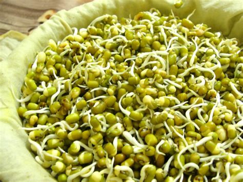 Nokdu – Mung Bean