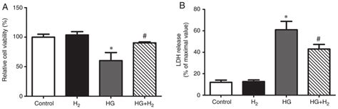 Results of the CCK-8 and LDH assays. Following treatment for 48 h, a... | Download Scientific ...