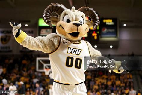 Vcu Mascot Rodney Photos and Premium High Res Pictures - Getty Images