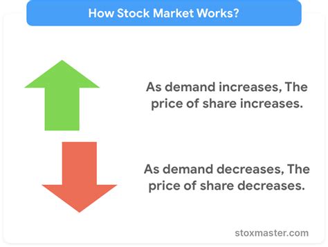 Basics of Stock Market for Beginners- All you need to know - StoxMaster Blog