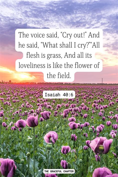 33 Bible Verses About Flowers - The Graceful Chapter