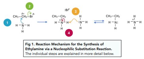 Amines - Amine Synthesis (A-Level Chemistry) - Study Mind