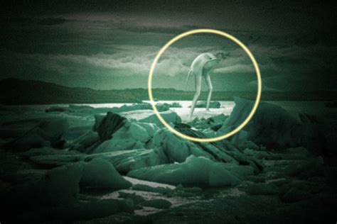 12 Facts About The Ningen, The Creepiest ‘Animal’ You’ve Never Heard Of ...