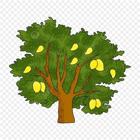 Mango Tree PNG Image, Sweet Mango Tree Clip Art, Mango Tree Clipart, Fruit Tree, Mango Tree PNG ...