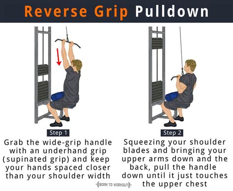 Reverse Grip Pulldown: How to do, Benefits, Muscles Worked | Born to ...