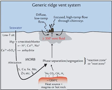 Chemosynthesis Process With Energy From Hydrothermal Vent, 41% OFF