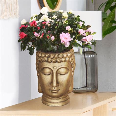 IDEALIST Face Head Buddha Face Planter Table, Oval Indoor Head Plant ...