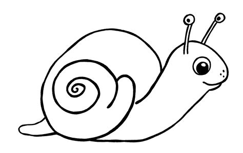 Snail Drawing {5 Easy Steps}! - The Graphics Fairy