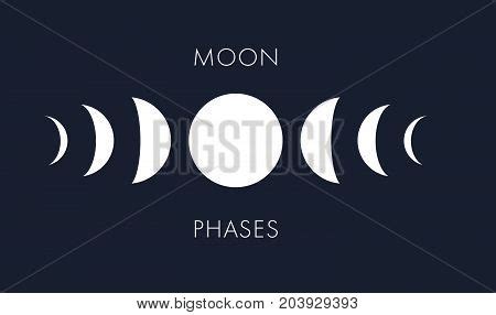 Moon Phases Vector Vector & Photo (Free Trial) | Bigstock