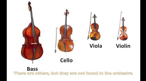 Instruments Of The Orchestra List