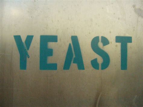 Male Yeast Infection: What Is a Male Yeast Infection?