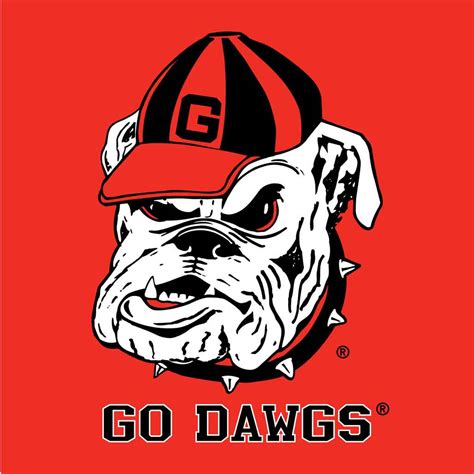 University of Georgia football Big Cloth | Hi-Look Online