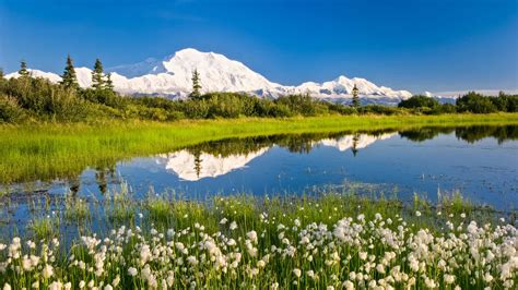 Download Anchorage Alaska Snowy Mountain And Greenery Picture | Wallpapers.com