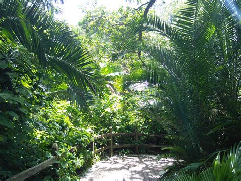 Sarasota Jungle Gardens - BsnTech Networks