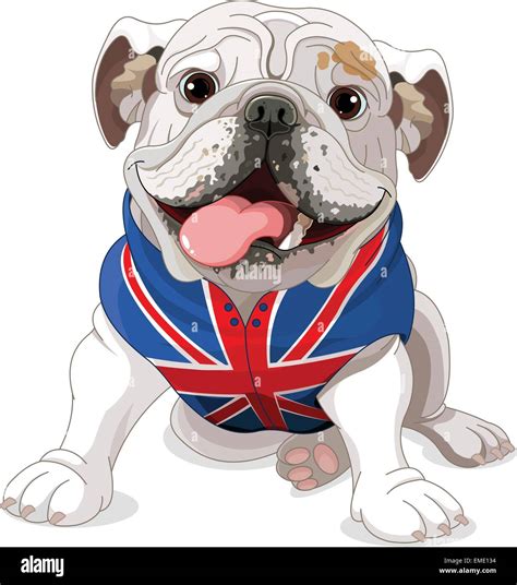 British Bulldog Cartoon Images - Illustration About English Bulldog Wearing A Coat With The ...