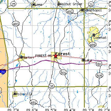 Forest, Mississippi (MS) ~ population data, races, housing & economy