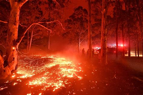Australia bushfires spark 'unprecedented' climate disinformation