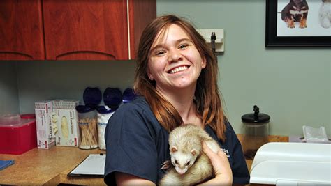 Petersburg Veterinary Clinic Offers Dog, Cat, Puppy and Kitten ...