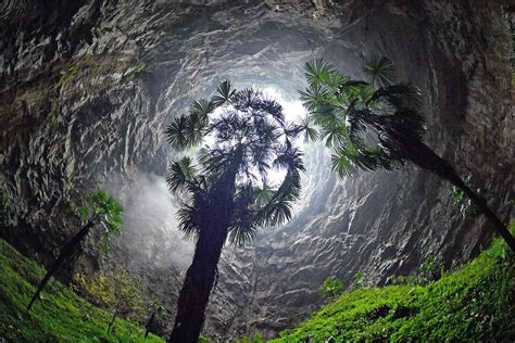 Giant Sinkhole Reveals Massive Ancient Forest in China