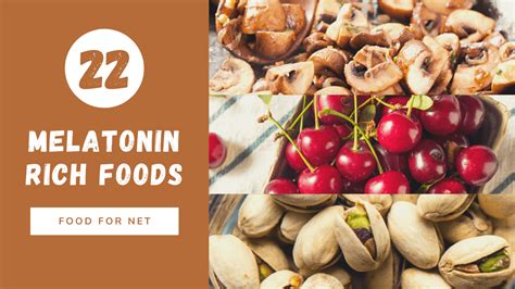 22 Melatonin Rich Foods That Can Help You To Nod Off | Food For Net