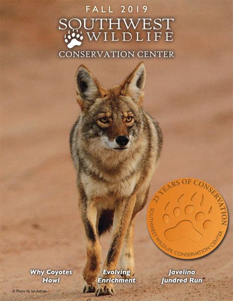 Fall 2019 by Southwest Wildlife Conservation Center - Issuu