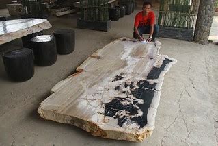 PETRIFIED WOOD SLAB | Our Petrified Wood Fossils products ar… | Flickr