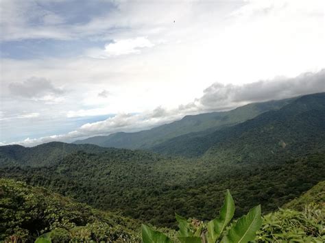 Monteverde Cloud Forest Reserve Costa Rica - Info