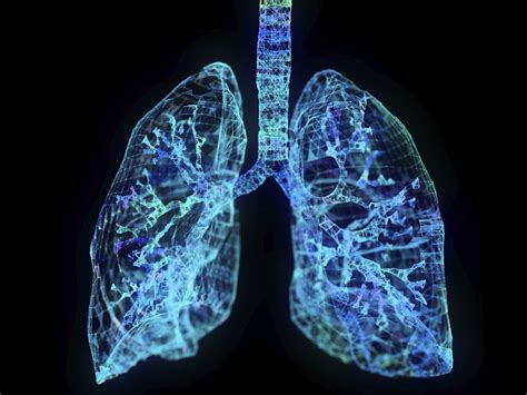 Lungs: Anatomy, Function, and Treatment