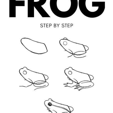 How To Draw A Realistic Frog