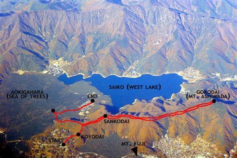 Aokigahara Forest Map