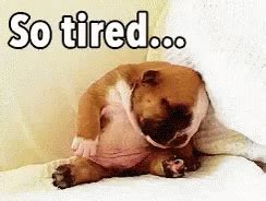 So Tired Dog GIF - SoTired Dog Puppy - Discover & Share GIFs