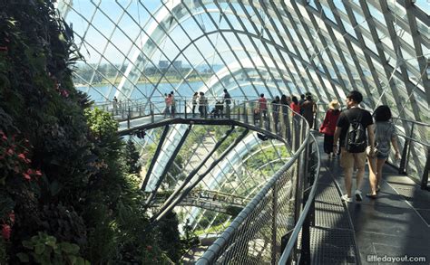 Gardens by the Bay Cloud Forest: Misty Mountain in a Dome - Little Day Out