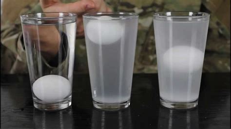 Egg Float In Salt Water Experiment