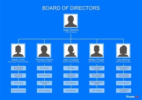 Company Organogram Template Word