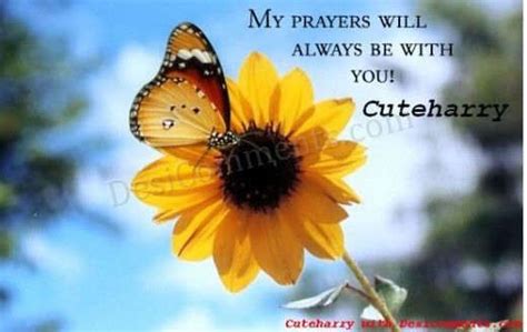 My prayers always with you - DesiComments.com