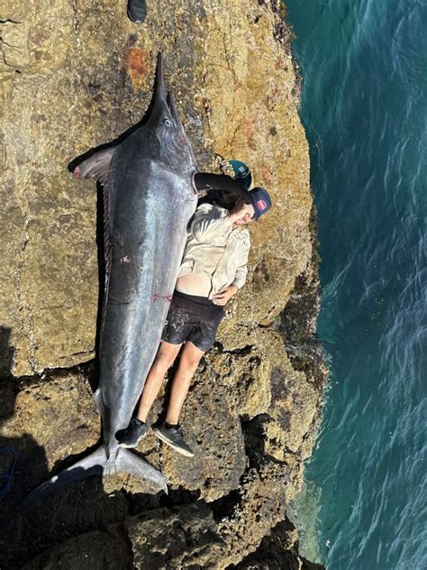 Land-based black marlin record caught at Jervis Bay - Fishing World ...