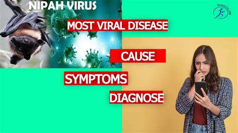 Nipah Virus (NiV) Hendra Virus Causes, Symptoms,, 55% OFF