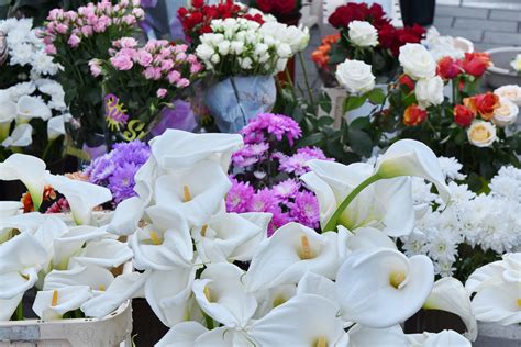 Free picture: still life, flowers, bouquet, plant, decoration ...