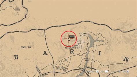 Red Dead Redemption 2 Wild Horse Breeds Locations Guide - RDR2.org