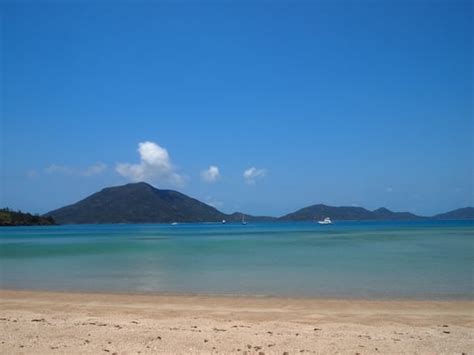 PLANTATION BEACH - Lindeman Island Queensland, Australia - Beaches - Yelp